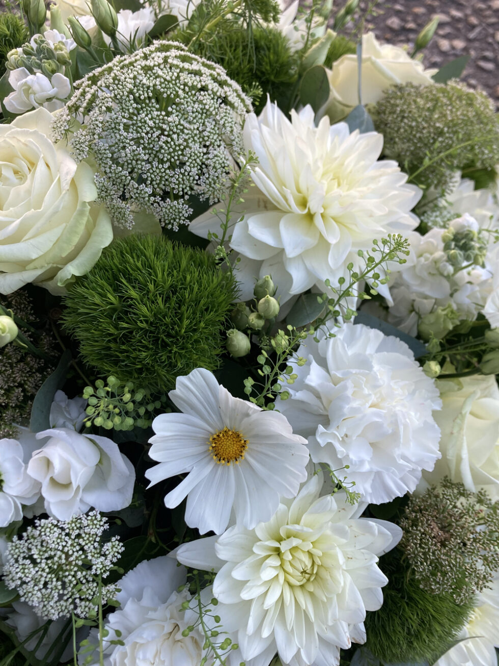 bouquet fleurs blanches